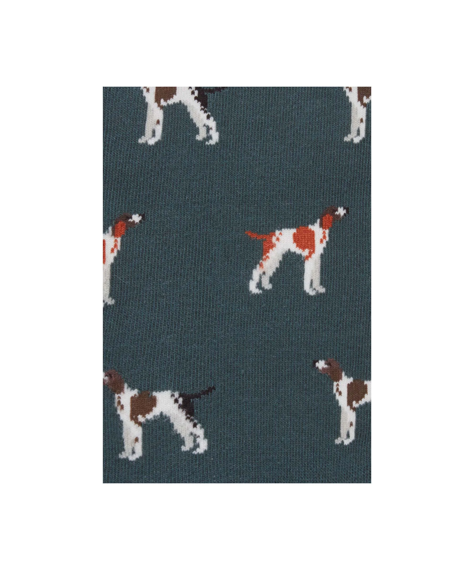 Men's Single Cotton Sock - Green Pointer - Image 2
