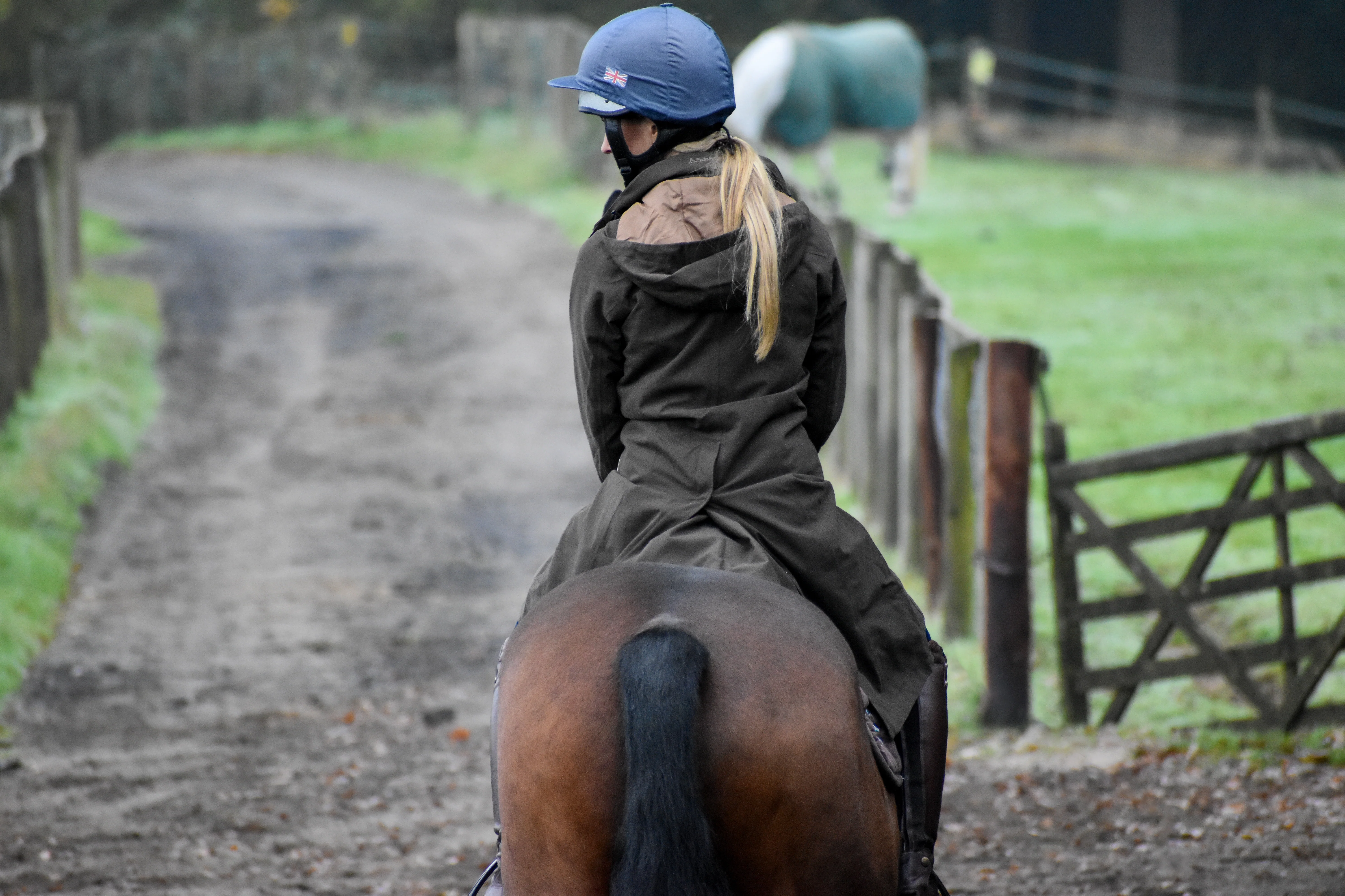 Marefield Waterproof Coat - Wren - Image 15
